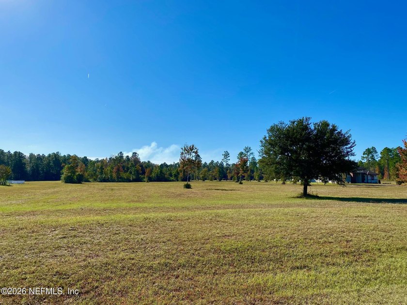 Beautiful 7.7 acres in the Estate section of the Jacksonville - photo 2
