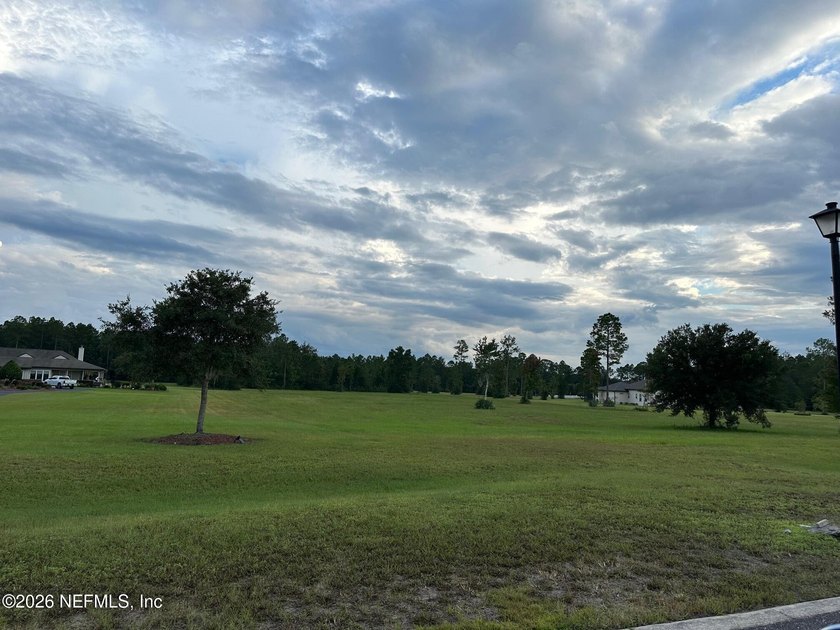 Beautiful 7.7 acres in the Estate section of the Jacksonville - photo 3