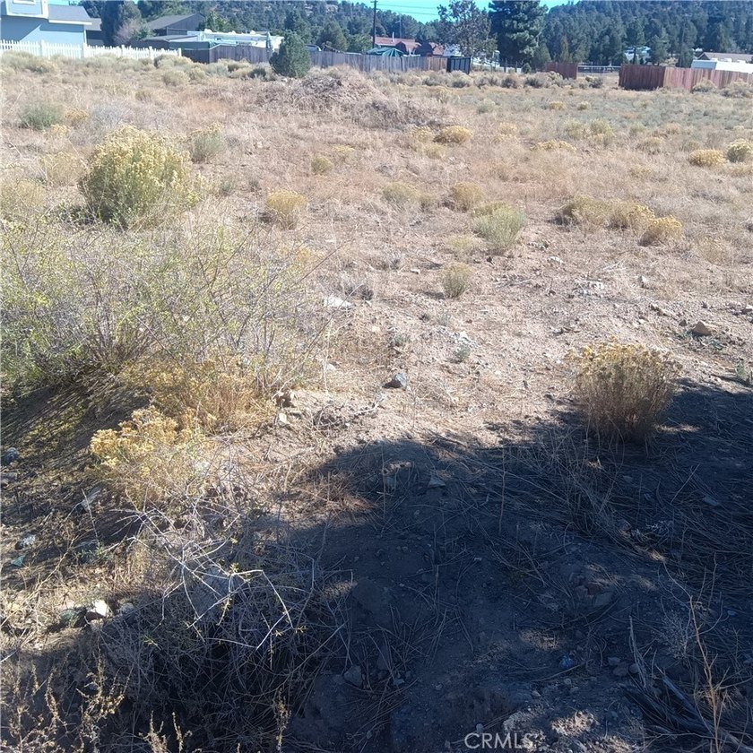 777 Old Pioneer Town Rd - photo 12