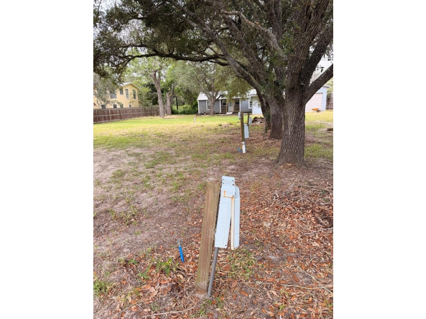 Discover the possibilities at 136 Palm! Situated on two spacious - photo 6