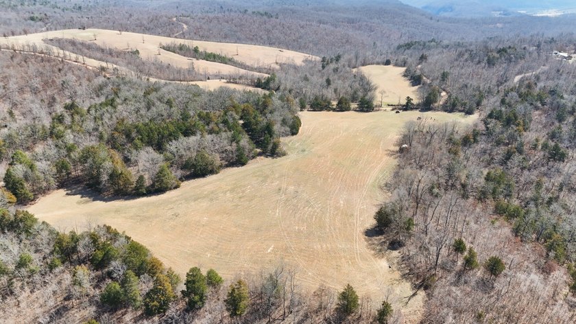 Premier Buffalo National River Area legacy hunting, recreational - photo 2