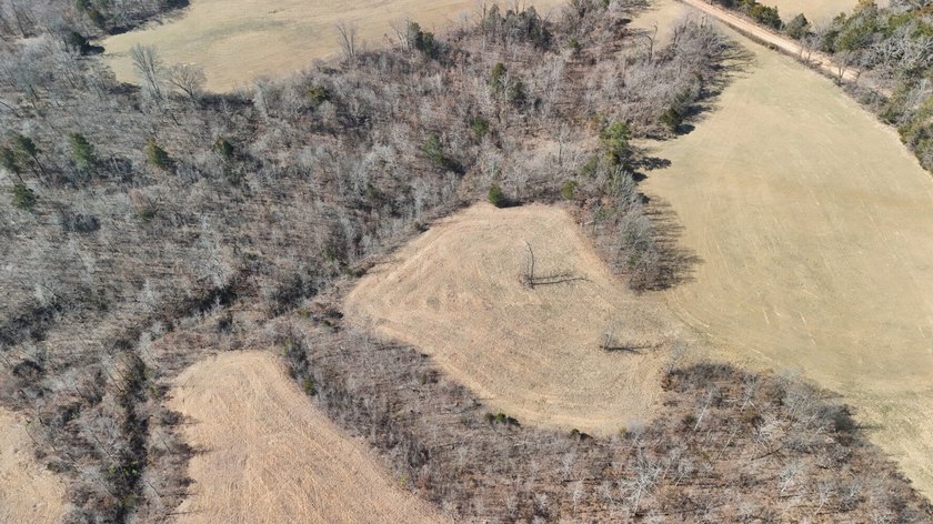 Premier Buffalo National River Area legacy hunting, recreational - photo 7