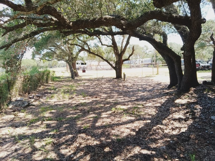 Tucked away in the woods on a quiet, nearly dead-end street - photo 3