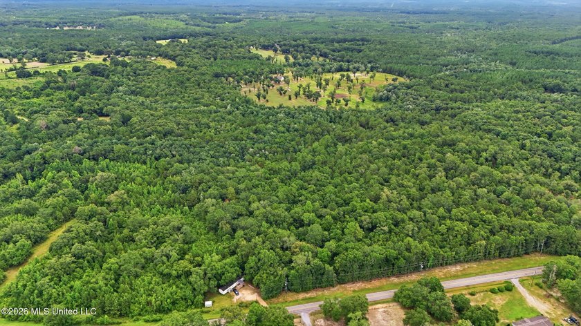 Beautiful opportunity to own up to 10 wooded acres with the - photo 3