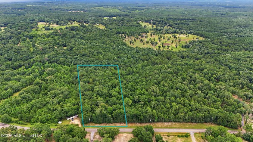 Beautiful opportunity to own up to 10 wooded acres with the - photo 4