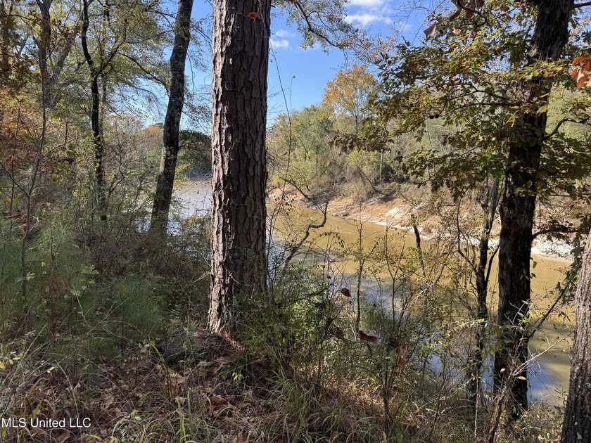 Just over 7 acres of private, undeveloped land in Hinds - photo 2