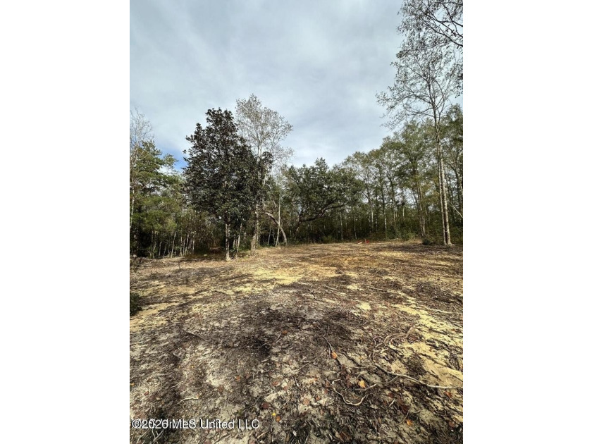 RARE FIND! Discover 3.2 beautiful acres tucked away in a highly - photo 4