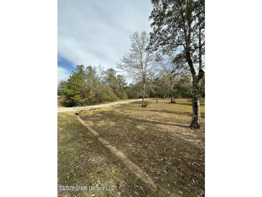 RARE FIND! Discover 3.2 beautiful acres tucked away in a highly - photo 5