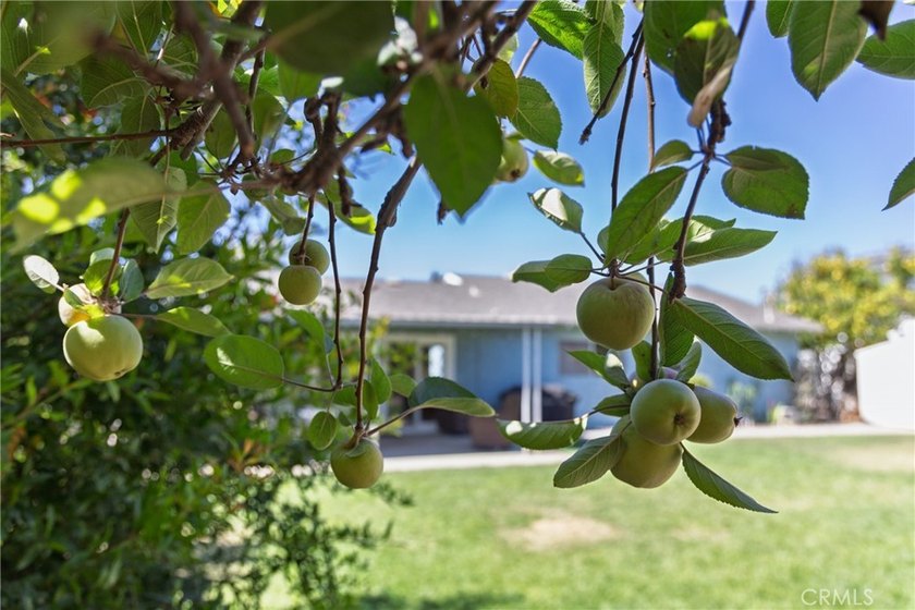 564 Stansbury - photo 41