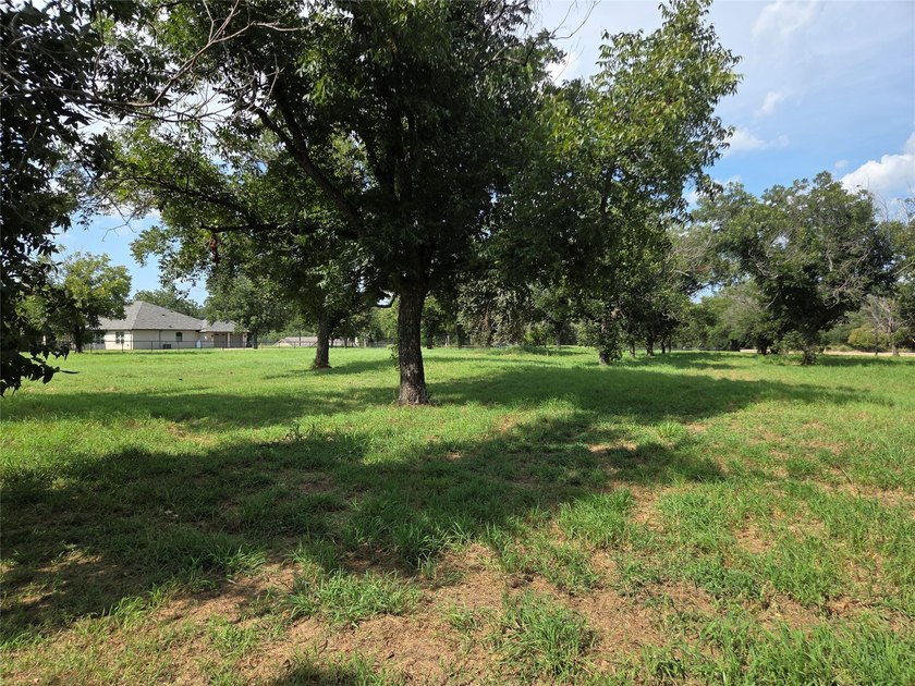Welcome to The Orchards on the Brazos- a serene community - photo 3