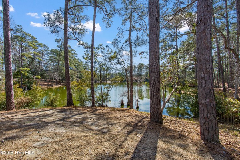 Calling on all boaters and nature lovers! This property is - photo 3