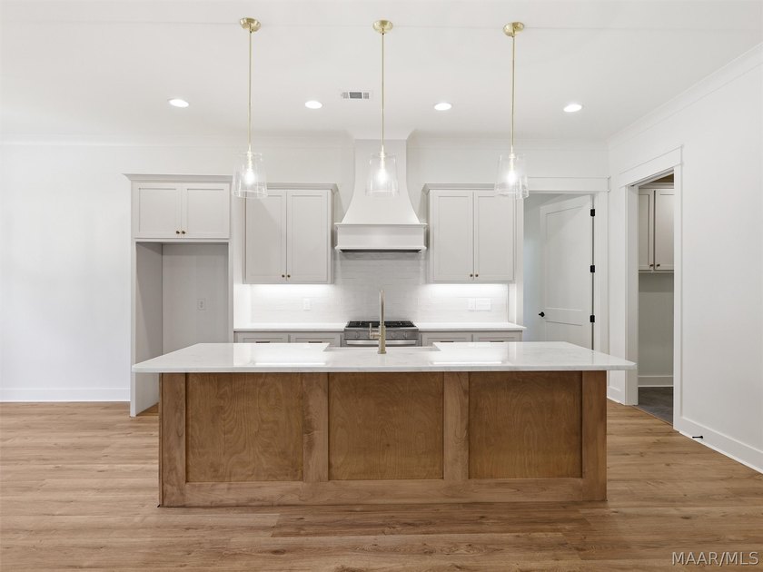 Welcome to 240 River Birch Trail. This 3 bedroom, two bath - photo 12