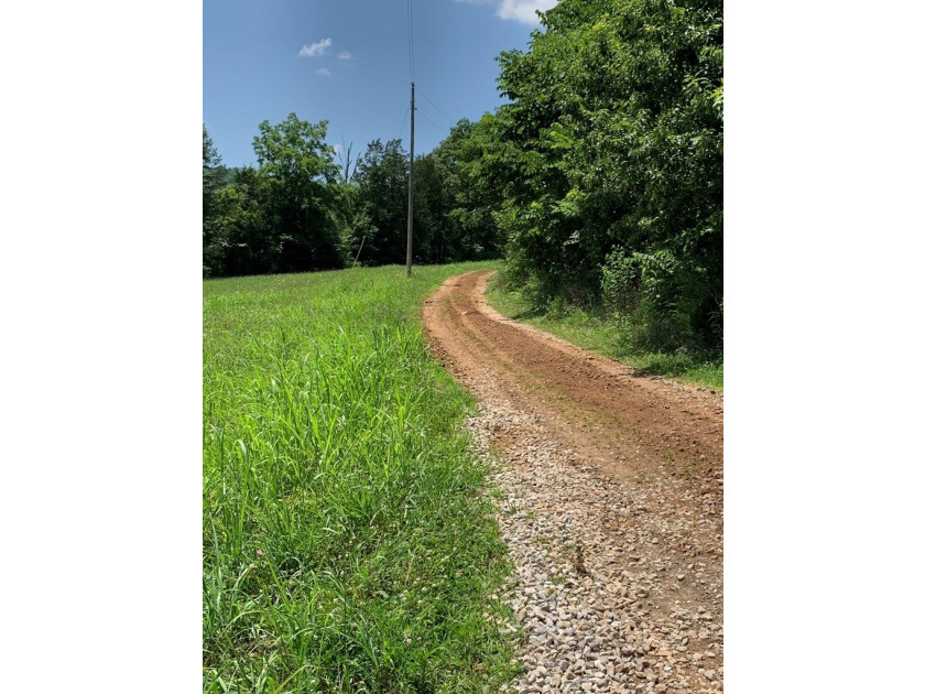 Private retreat, just outside the City of Sparta ! 3 plus acres - photo 15