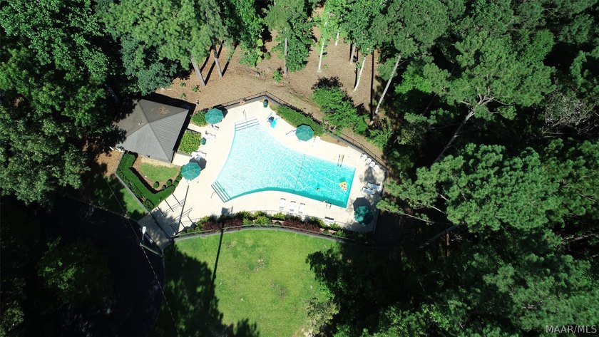 Welcome to 240 River Birch Trail. This 3 bedroom, two bath - photo 39