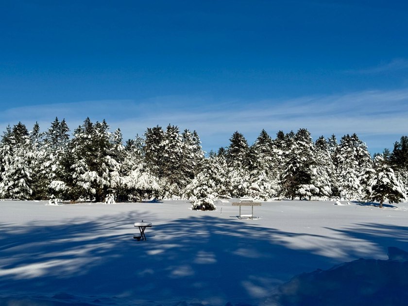 53 acres of mostly cleared land on pristine Croker Lake. The - photo 22