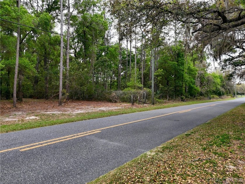 7.73 Acres bordering Fort Cooper State Park with direct access - photo 2