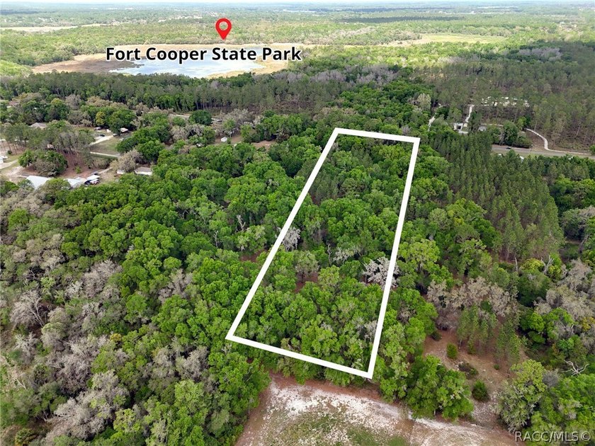 7.73 Acres bordering Fort Cooper State Park with direct access - photo 5