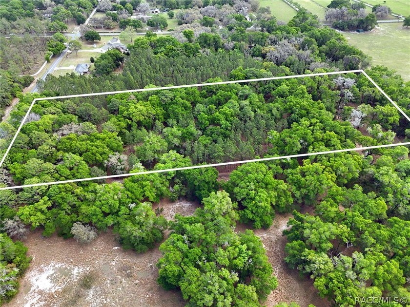 7.73 Acres bordering Fort Cooper State Park with direct access - photo 7