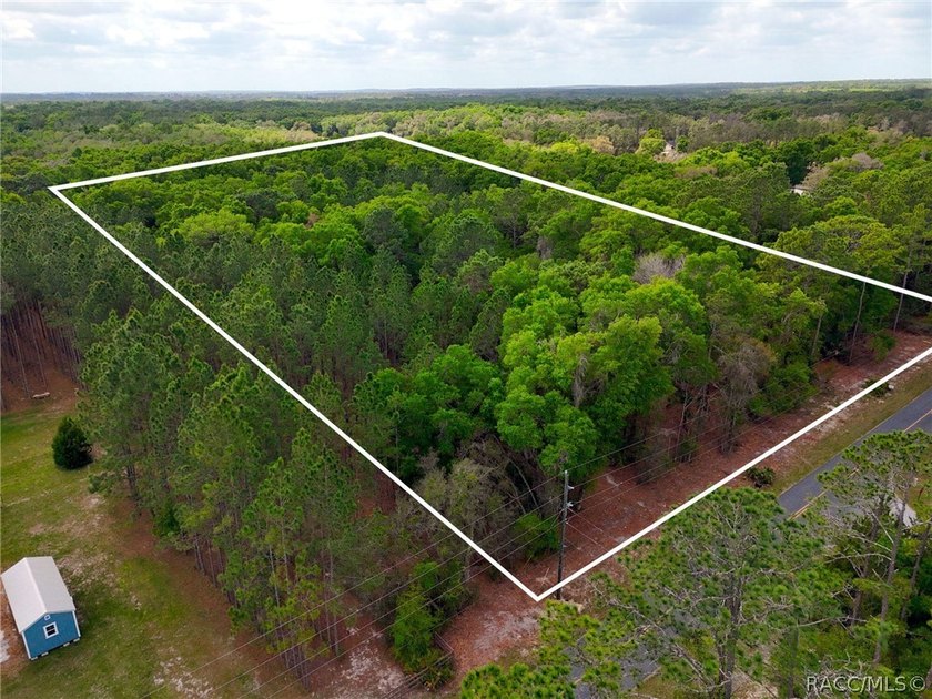 7.73 Acres bordering Fort Cooper State Park with direct access - photo 8