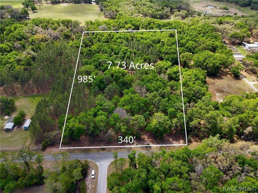7.73 Acres bordering Fort Cooper State Park with direct access - photo 9