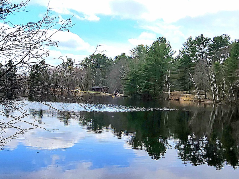 Escape to Pine Lane: Your Pennsylvania Campground Adventure Awaits!