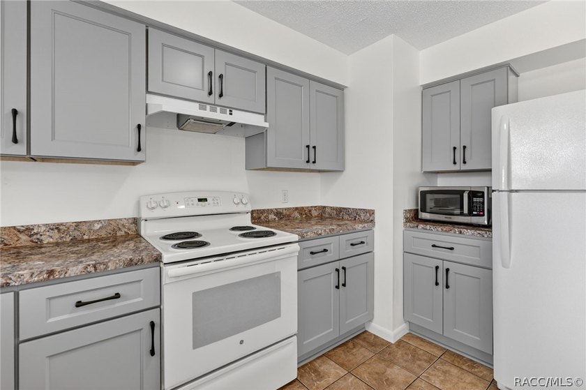 Welcome to this beautifully updated 3-bedroom, 2-bathroom home - photo 15
