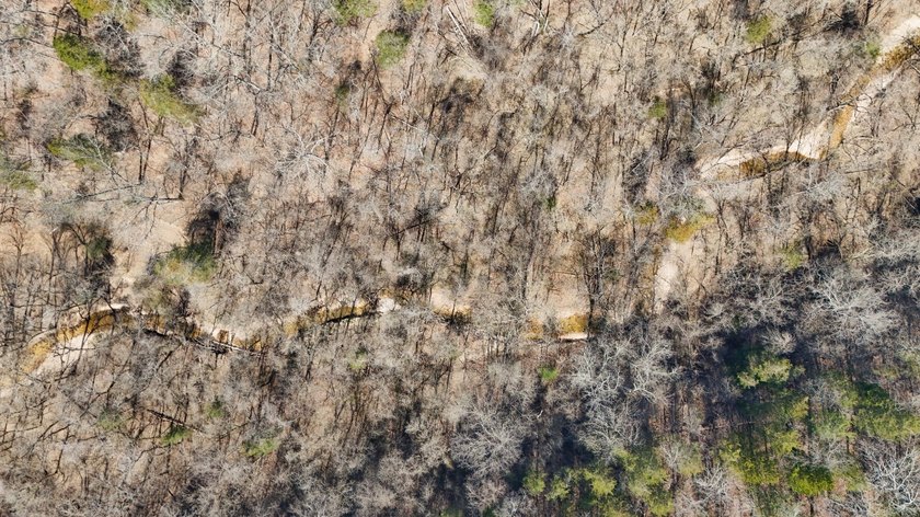 Premier Buffalo National River Area legacy hunting, recreational - photo 12