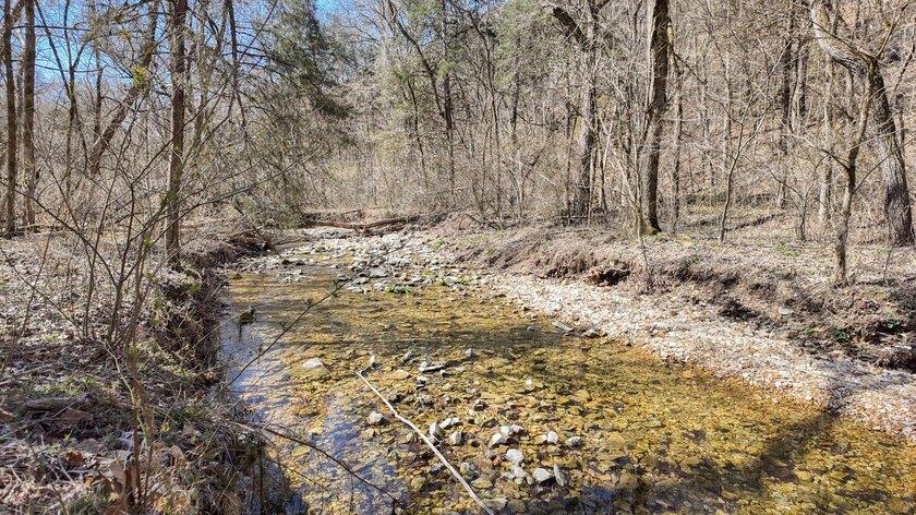 Premier Buffalo National River Area legacy hunting, recreational - photo 15