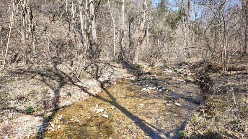 Premier Buffalo National River Area legacy hunting, recreational - photo 16