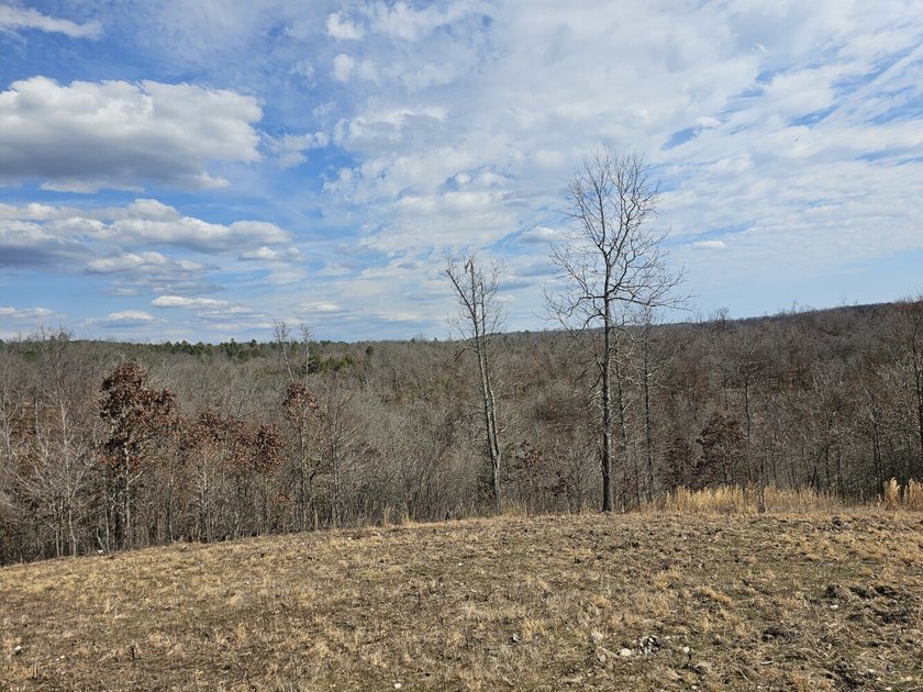 Premier Buffalo National River Area legacy hunting, recreational - photo 23
