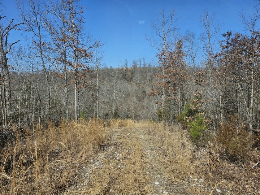 Premier Buffalo National River Area legacy hunting, recreational - photo 27