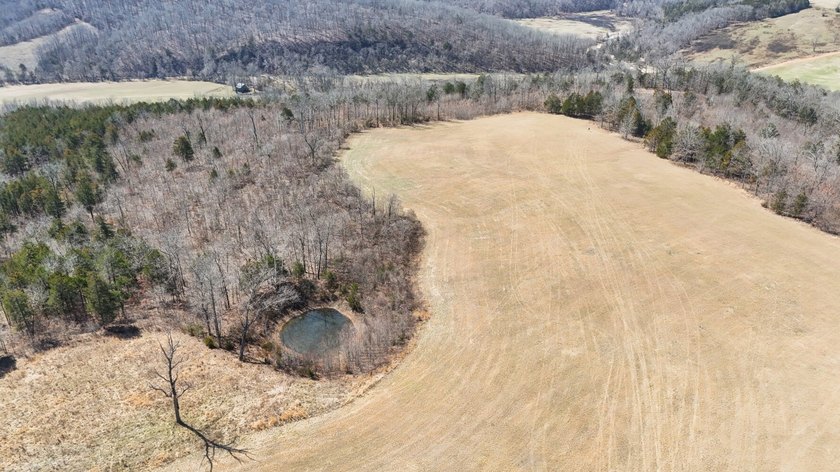 Premier Buffalo National River Area legacy hunting, recreational - photo 38
