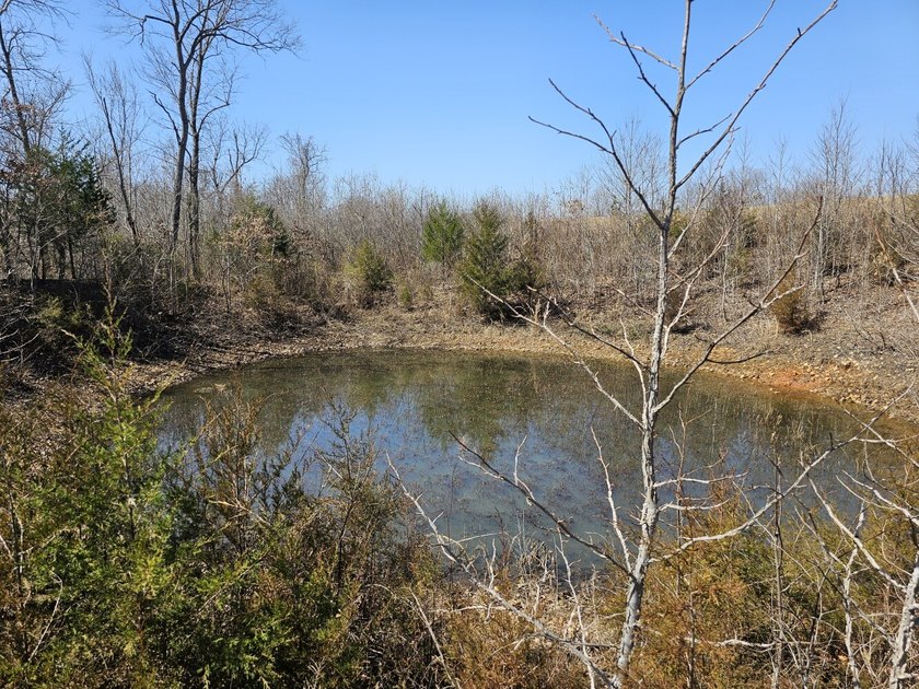 Premier Buffalo National River Area legacy hunting, recreational - photo 42