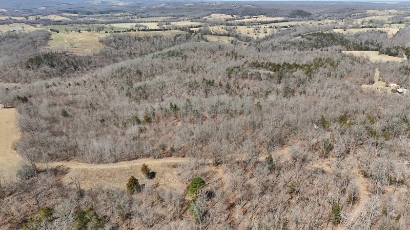 Premier Buffalo National River Area legacy hunting, recreational - photo 44
