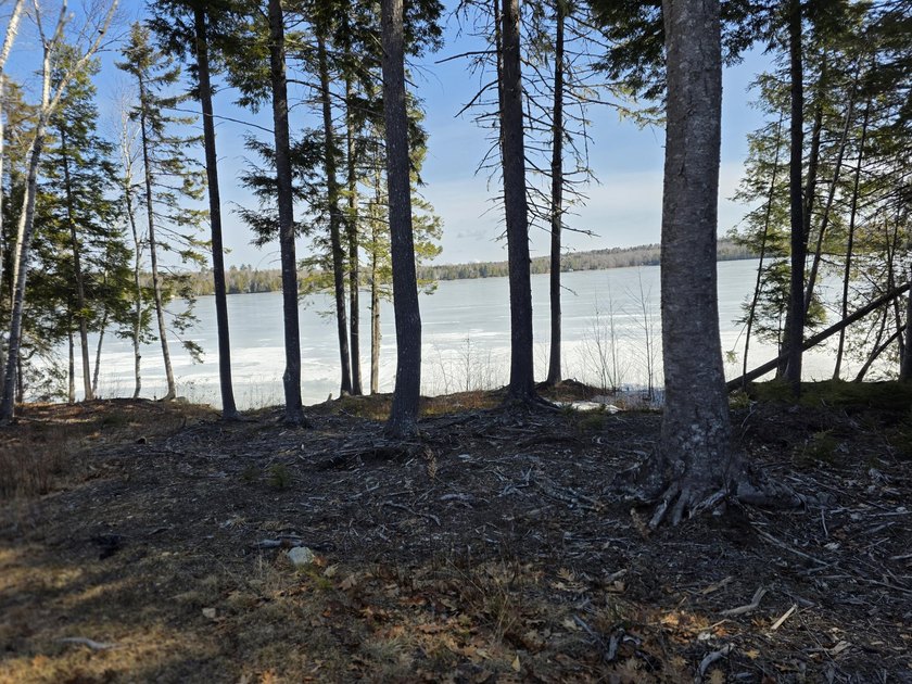 This property includes 2 surveyed lots with a new 3 bedroom - photo 2