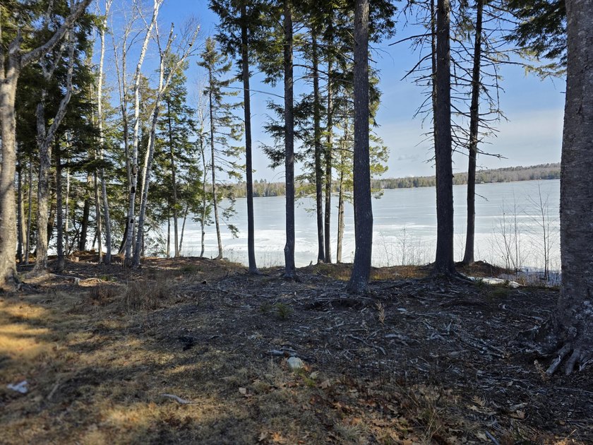 This property includes 2 surveyed lots with a new 3 bedroom - photo 5