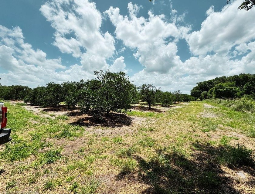 Experience the ultimate live-work-play lifestyle at this rare - photo 39
