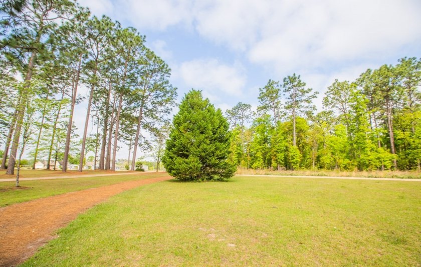 This is the custom home you've been looking for at Lake - photo 43