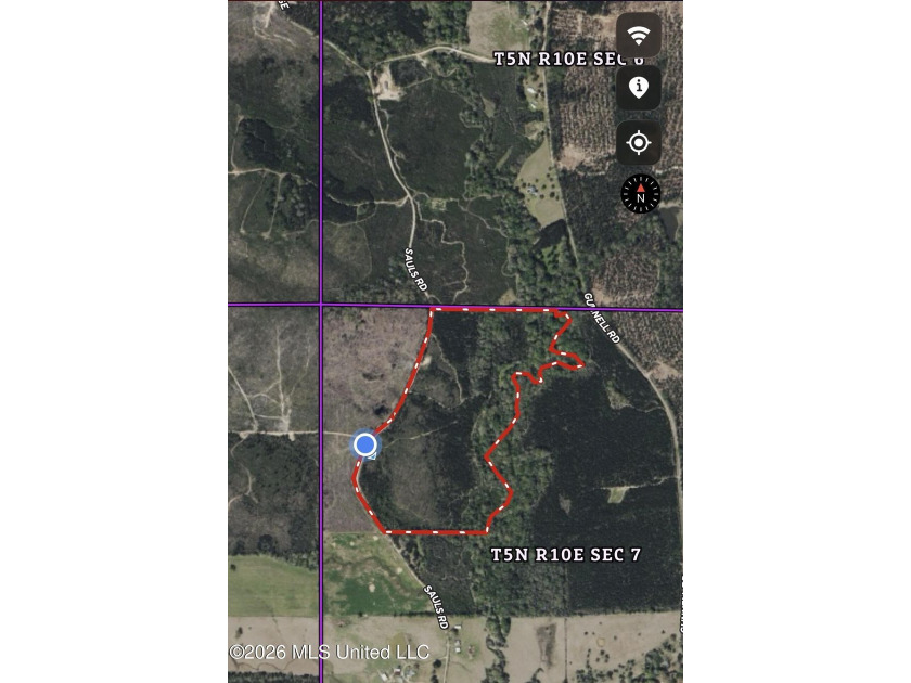 80+/- Acres - Topisaw Creek Recreational Tract, Southwest - photo 4
