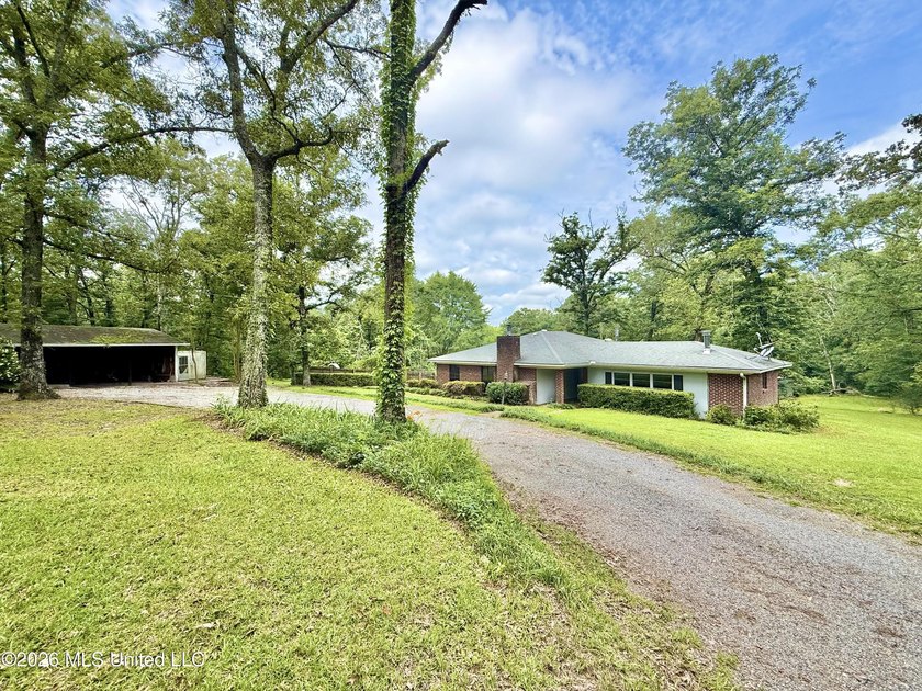 Enjoy peaceful country living on 5.4+/- acres with this spacious - photo 3