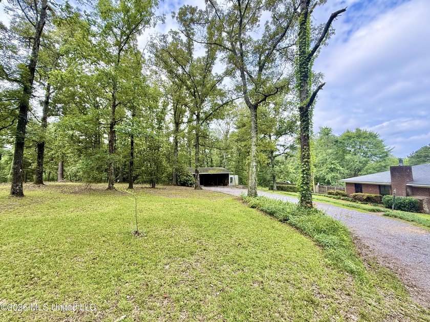 Enjoy peaceful country living on 5.4+/- acres with this spacious - photo 4