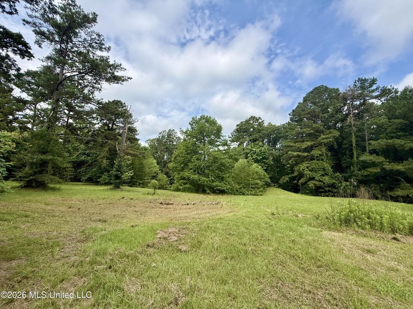 Enjoy peaceful country living on 5.4+/- acres with this spacious - photo 10