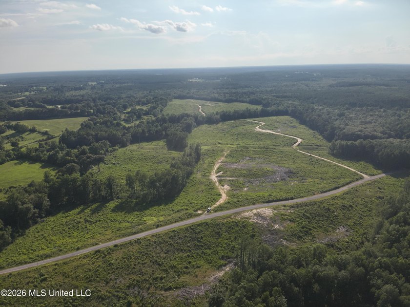 Here's your chance to own a sizeable piece of South Mississippi - photo 6