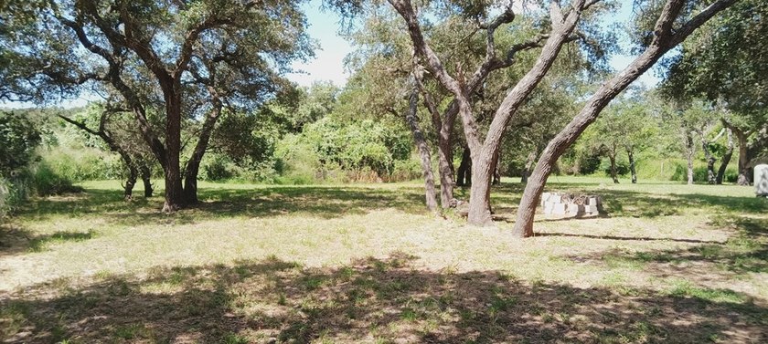 Tucked away in the woods on a quiet, nearly dead-end street - photo 46