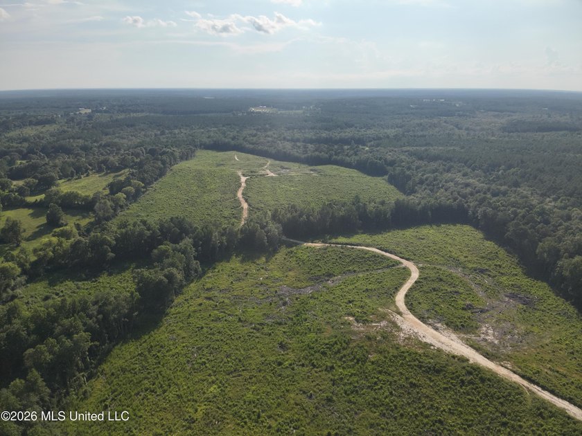 Here's your chance to own a sizeable piece of South Mississippi - photo 9