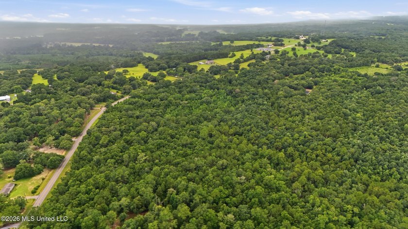 Beautiful opportunity to own up to 10 wooded acres with the - photo 11