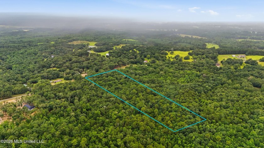 Beautiful opportunity to own up to 10 wooded acres with the - photo 12
