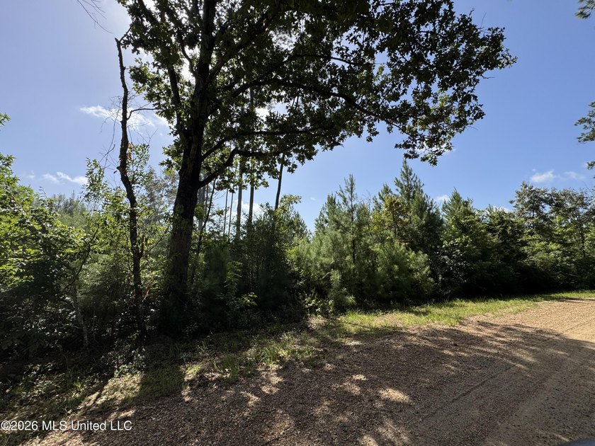 40+/- Acres - Topisaw Creek Recreational Tract Southwest - photo 9
