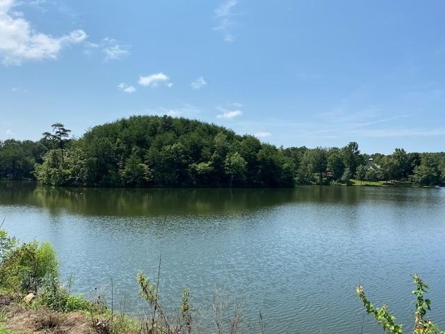 Sawtooth Branch is a private gated community on 240 acres in the - photo 8