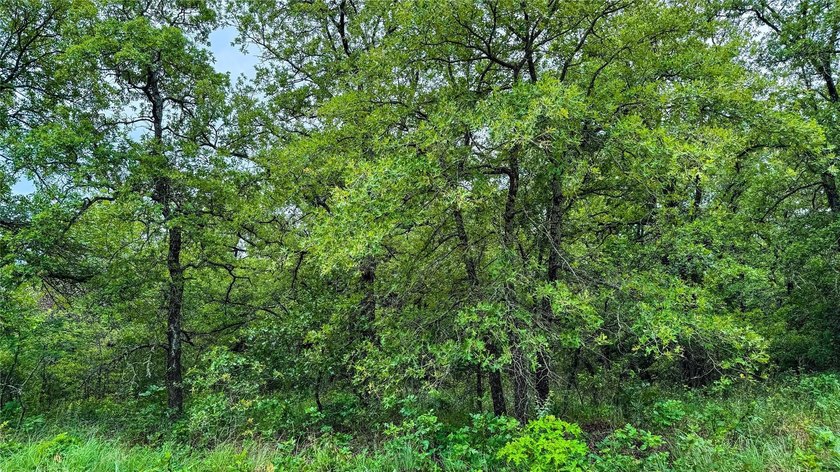 Recently, a builder from Dallas-Ft Worth area purchased the - photo 17